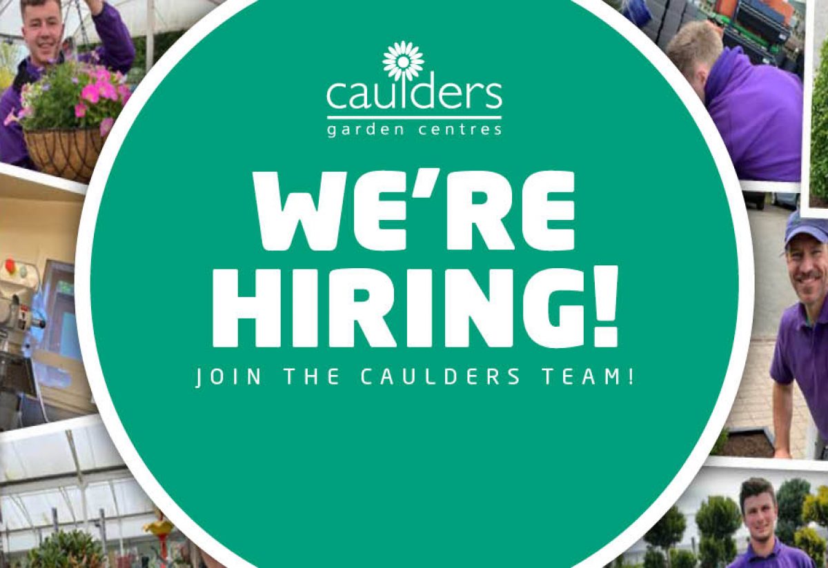 Caulders we are hiring web image